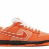 * Nike Concepts X Dunk Low Sb 'Orange Lobster' Special Box | Shoes